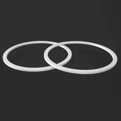 Anello di supporto in PTFE